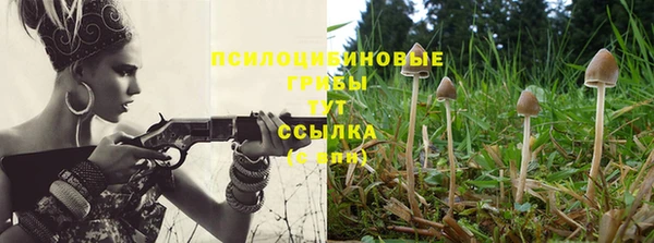 СК Балабаново