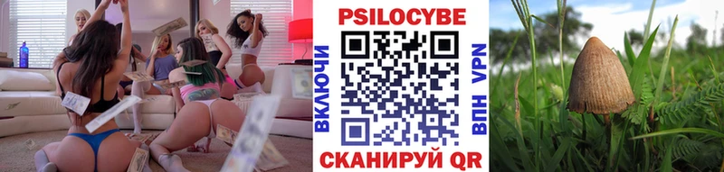 что такое   Вязники  Галлюциногенные грибы Magic Shrooms 